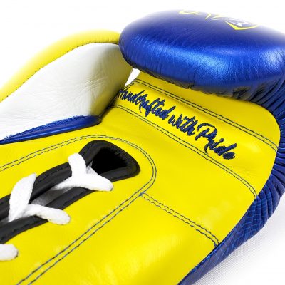 Rival boxing gloves