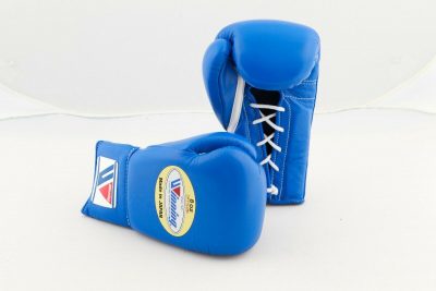 winning boxing gloves fight